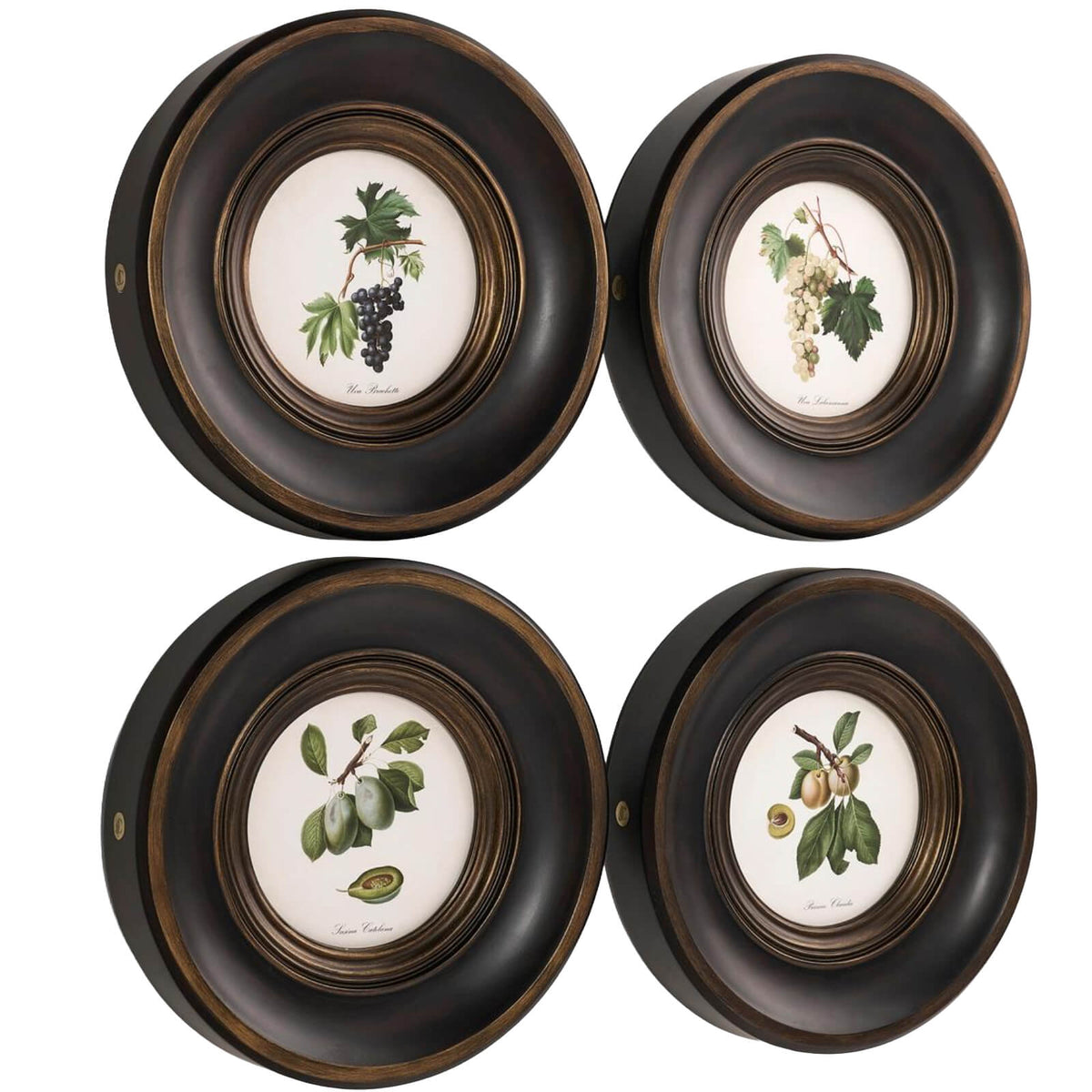 Vintage Fruit No. 3 Framed Art - Set of 4