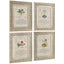 Herbal of Enlightenment Framed Prints - Set of 4
