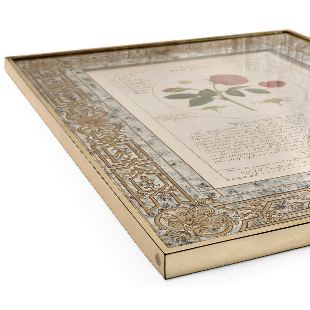 Herbal of Enlightenment Framed Prints - Set of 4