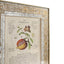Herbal of Enlightenment Framed Prints - Set of 4
