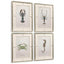 Vintage Marine Animals Framed Prints - Set of 4