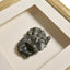 Fragments of Time Shadow Boxes - Set of 2
