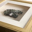 Fragments of Time Shadow Boxes - Set of 2