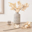Natural Apricot Maple Leaf Pack of 6
