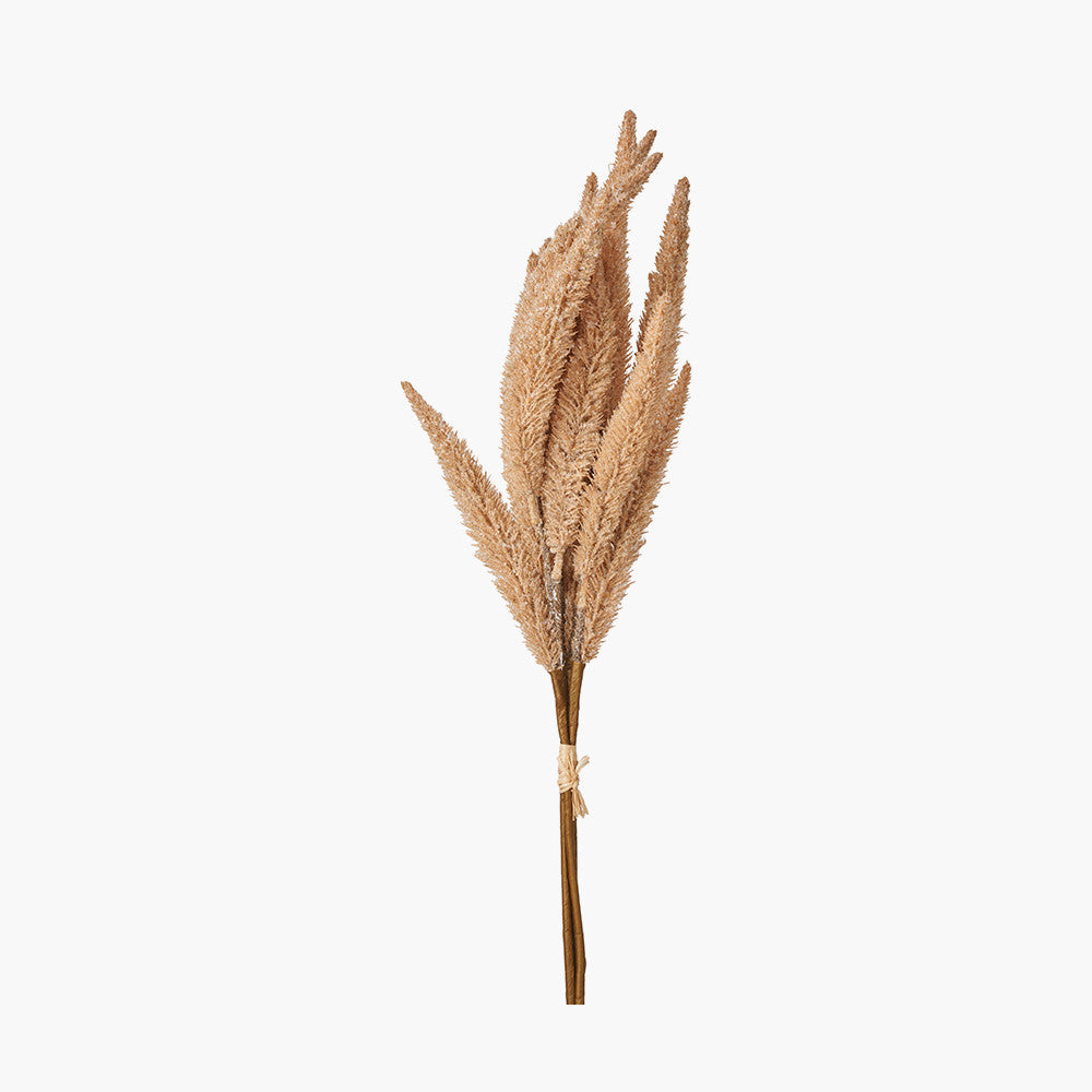 Natural Apricot Foxtail Hand-Tied 3 Stem Bundle Pack of 6