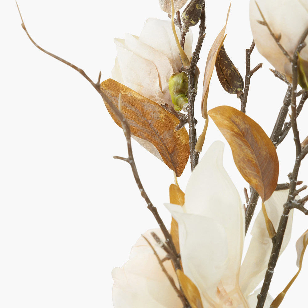 Natural Cream Magnolia Pack of 6