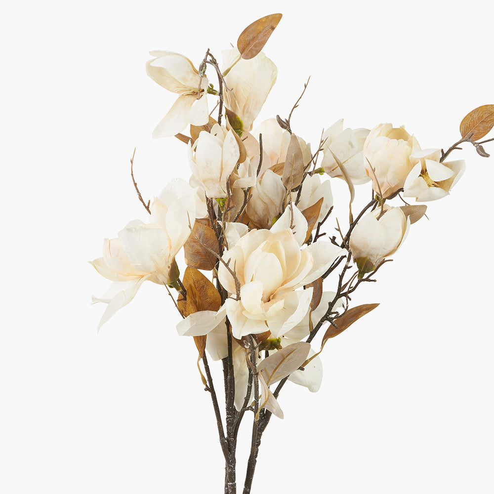 Natural Cream Magnolia Pack of 6