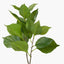 Green Hydrangea Leaf Pack of 6