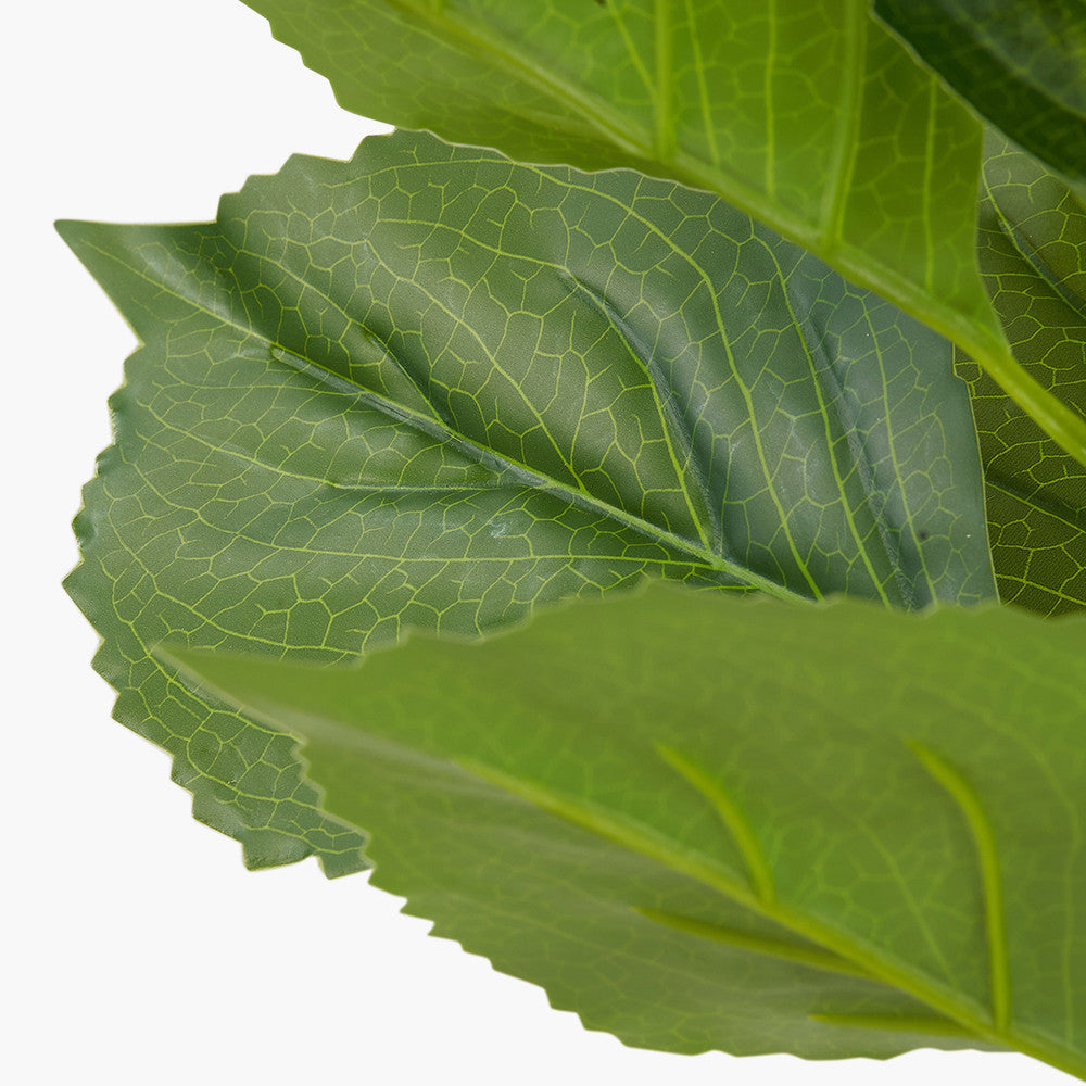 Green Hydrangea Leaf Pack of 6