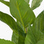 Green Hydrangea Leaf Pack of 6