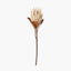 Natural Magnolia Faux Flower Bunch
