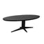 Dining table Rayford black oval 230