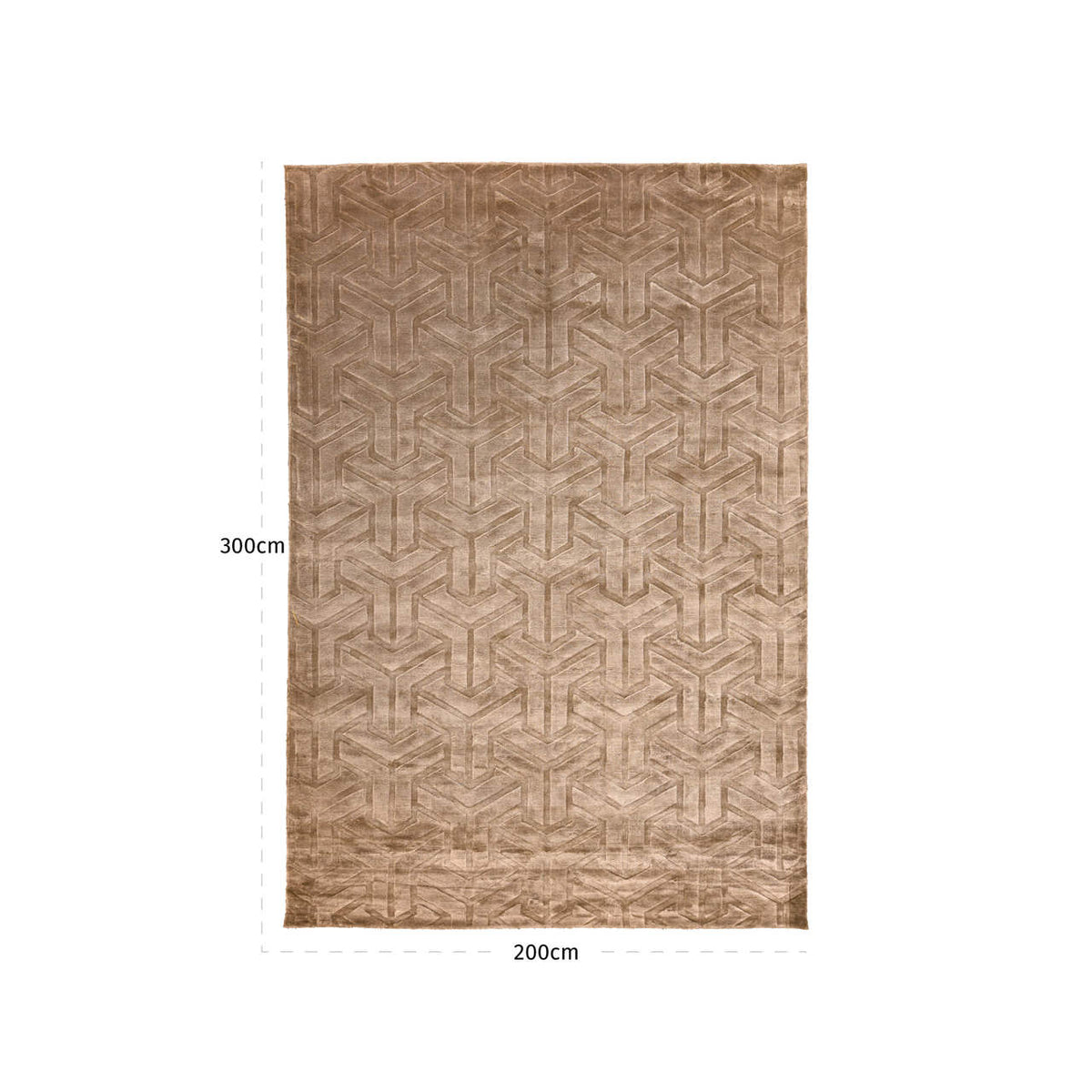 Carpet Arles taupe 200x300