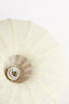 Ceiling lamp 40x21,5 cm ZOSIA linen cream