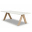 Antigua 8 Seat Rectangular Dining Table with Terrazzo Top