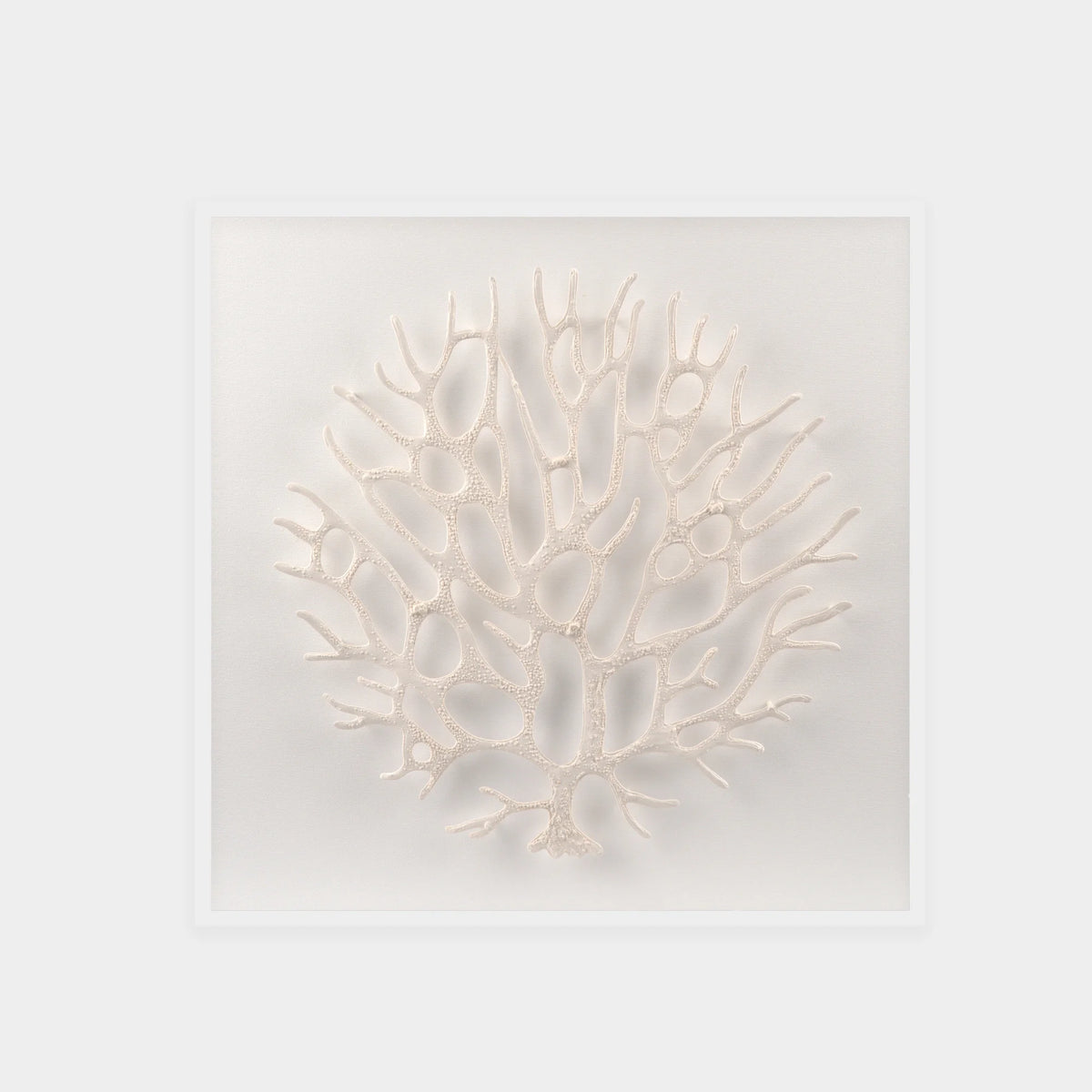 Abstract White Coral Wall Art 9