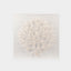 Abstract White Coral Wall Art 9
