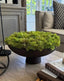 Curly Moss in a Brown Footed Stone Bowl