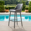 Regal Bar Stool / Flanelle