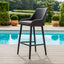 Regal Bar Stool / Charcoal