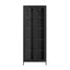 Mase Black Cabinet
