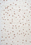 Moodi Shaggy Cream/Terra Biscotti Rug