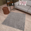 Myshaggy Solid Grey Rug