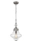 Vista 1 light Pendant - Brushed Nickel