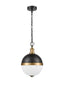 Hemisphere Small Pendant - Black / Gold