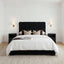 Pasadena Black King Bed