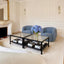 Ray Black Coffee Table