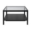 Ray Black Coffee Table