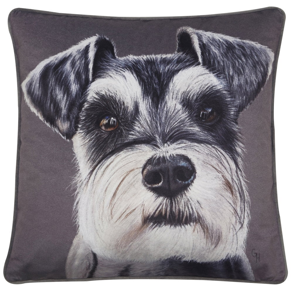 Benny Cushion