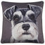 Benny Cushion