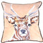 Brutus Cushion