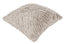 Paul Moneypenny Ziggy Taupe Cushion