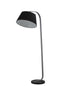 Standard lamp with black shade