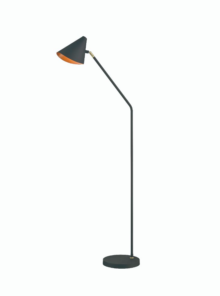Floor lamp with adjustabl e head. Black/Gold