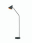 Floor lamp with adjustabl e head. Black/Gold