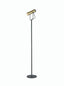 Modern Floor Reading Lamp