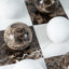 Sphere Play Marble Set.
