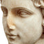 Bust of a youth