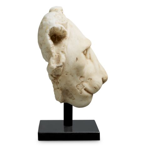 Object Lion