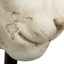 Object Lion