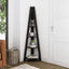 Tiva Black Corner Ladder Shelving