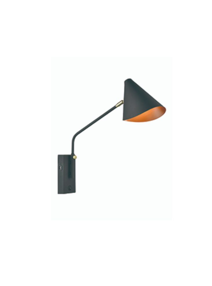 Swing Arm Wall Light with USB