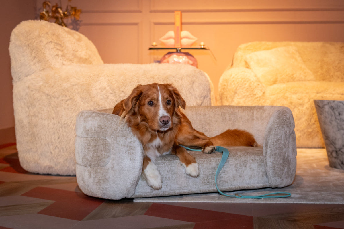 Pet bed Bingo clay chenille