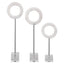 Coin Toss Marble Rings, S/3