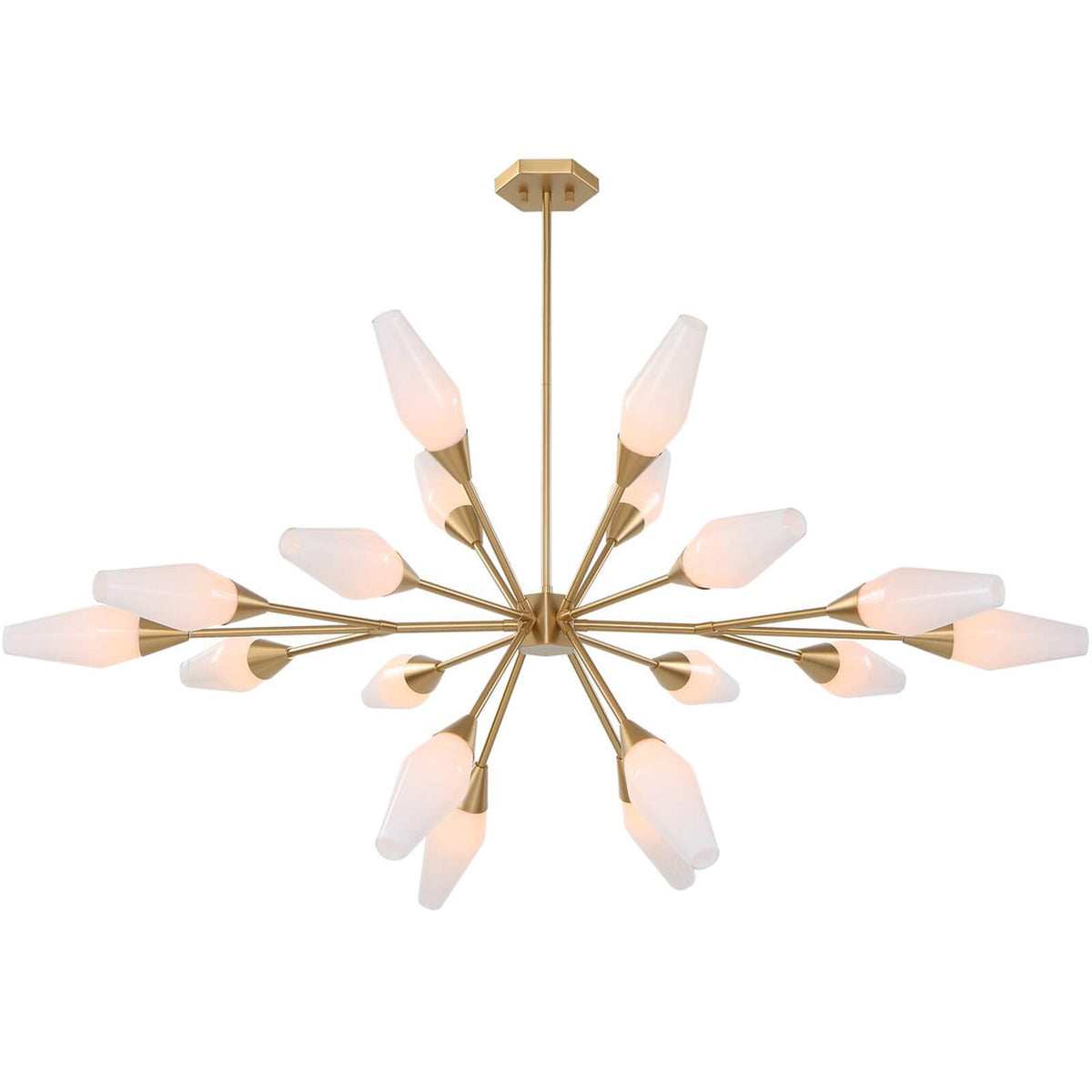 Agapanthus 18 Light Pendant in Brass