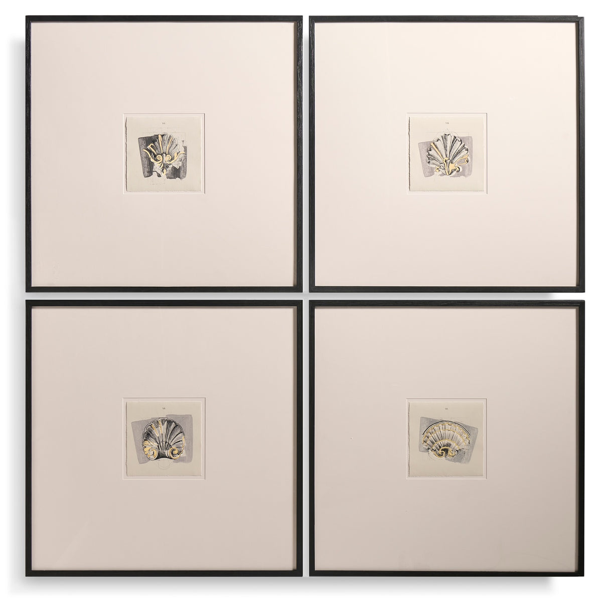 Architectural Clamshells Framed Prints - Set of 4
